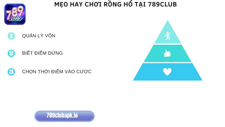 &Aacute;p dụng mẹo hay sẽ gi&uacute;p anh em tối ưu chiến thắng khi chơi Rồng Hổ